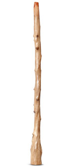 Earl Clements Flared Didgeridoo (EC334)